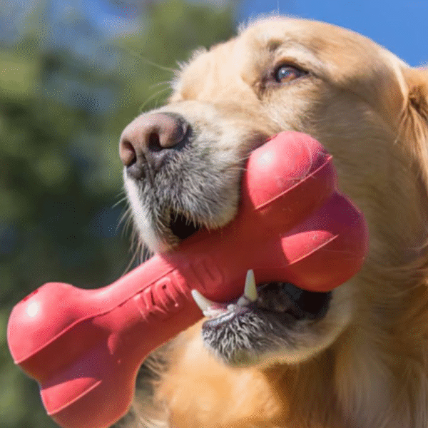 KONG Goodie Bone Dog Toy, Small