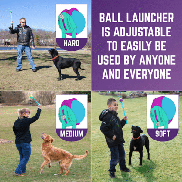 Chew King 4 Balls with Ball Launcher Combo Dog Toy, Large with 3" Ball