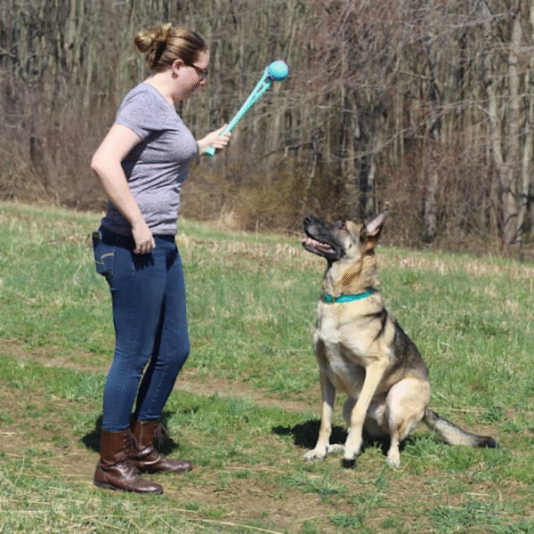 Chew King 4 Balls with Ball Launcher Combo Dog Toy, Large with 3" Ball