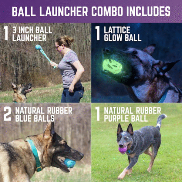 Chew King 4 Balls with Ball Launcher Combo Dog Toy, Large with 3" Ball