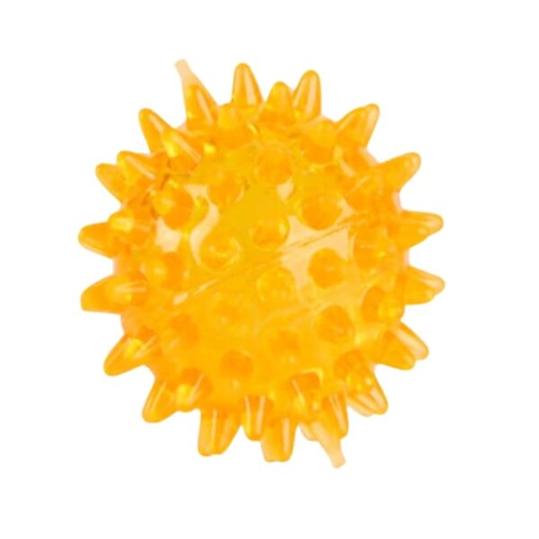 Leaps & Bounds Spiny Ball Assorted Dog Chew Toy, Small